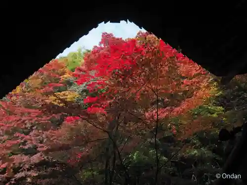 実相院門跡(京都府)