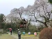 光丸山 法輪寺(栃木県)