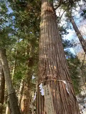 日光二荒山神社(栃木県)