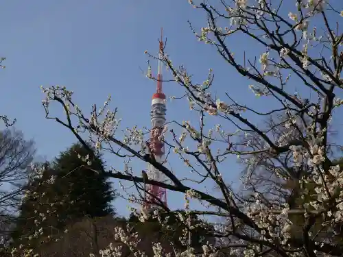 芝東照宮の庭園