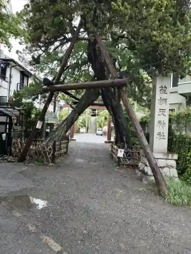 荏柄天神社の{uncategorized: "未分類", other: "その他", undefined: "問題あり", building: "その他建物", grave: "お墓", sacred_gate: "鳥居", guardian: "狛犬", statue: "像", buddha: "仏像", history: "歴史", nature: "自然", garden: "庭園", animal: "動物", pagoda: "塔", temizu: "手水舎", mountain_gate: "山門・神門", sanctuary: "本殿・本堂", subordinate: "末社・摂社", art: "芸術", scenery: "景色", jizo: "地蔵", ema: "絵馬", goshuin: "御朱印", omikuji: "おみくじ", items: "授与品その他", amulet: "お守り", goshuincho: "御朱印帳", eats: "食事", festival: "お祭り", votive_dance: "神楽", shichigosan: "七五三参", wedding: "結婚式", experience: "体験その他", initially: "初詣", around: "周辺", anti_infection: "感染症対策"}