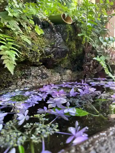 穴澤天神社(東京都)
