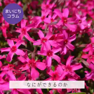 壽徳寺 じゅとくじ(福島県)(2022年05月16日(月) 15時20分52秒投稿)