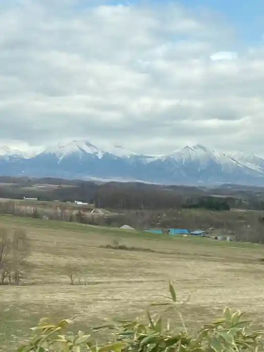美瑛神社の周辺