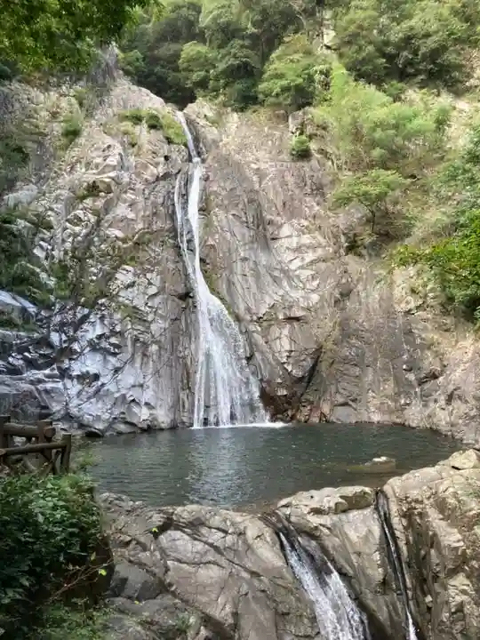 不動尊(布引の滝)の自然