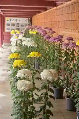 笠間稲荷神社(茨城県)