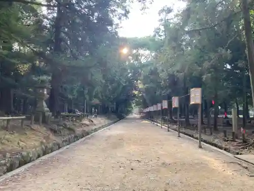 春日大社 若宮（春日若宮）(奈良県)