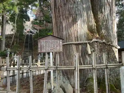 戸隠神社中社(長野県)