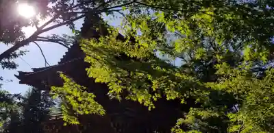 弘法寺のその他建物