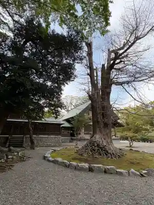 安房神社(千葉県)