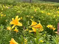 山の神神社(長野県)
