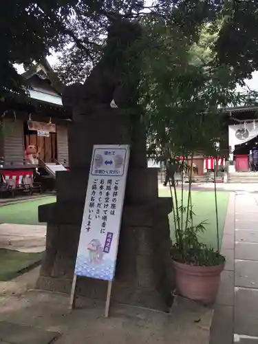 太子堂八幡神社の狛犬