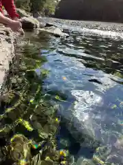 伊勢神宮内宮（皇大神宮）(三重県)