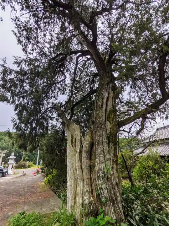 大水上神社(香川県)