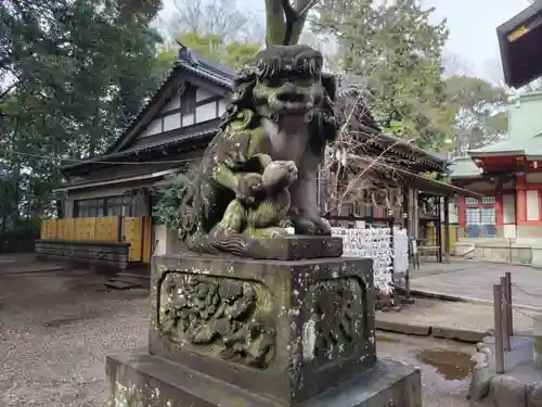 世田谷八幡宮の狛犬