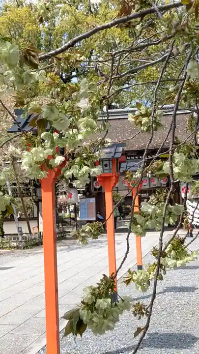 平野神社(京都府)