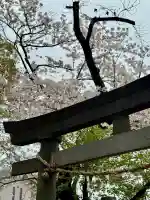 和田稲荷神社の{uncategorized: "未分類", other: "その他", undefined: "問題あり", building: "その他建物", grave: "お墓", sacred_gate: "鳥居", guardian: "狛犬", statue: "像", buddha: "仏像", history: "歴史", nature: "自然", garden: "庭園", animal: "動物", pagoda: "塔", temizu: "手水舎", mountain_gate: "山門・神門", sanctuary: "本殿・本堂", subordinate: "末社・摂社", art: "芸術", scenery: "景色", jizo: "地蔵", ema: "絵馬", goshuin: "御朱印", omikuji: "おみくじ", items: "授与品その他", amulet: "お守り", goshuincho: "御朱印帳", eats: "食事", festival: "お祭り", votive_dance: "神楽", shichigosan: "七五三参", wedding: "結婚式", experience: "体験その他", initially: "初詣", around: "周辺", anti_infection: "感染症対策"}