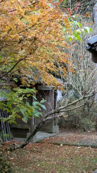 観音寺(山崎聖天)(京都府)