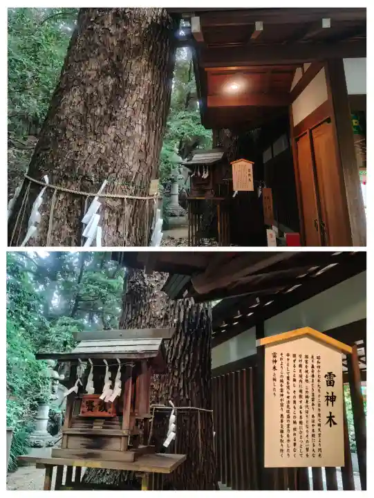 乃木神社の{uncategorized: "未分類", other: "その他", undefined: "問題あり", building: "その他建物", grave: "お墓", sacred_gate: "鳥居", guardian: "狛犬", statue: "像", buddha: "仏像", history: "歴史", nature: "自然", garden: "庭園", animal: "動物", pagoda: "塔", temizu: "手水舎", mountain_gate: "山門・神門", sanctuary: "本殿・本堂", subordinate: "末社・摂社", art: "芸術", scenery: "景色", jizo: "地蔵", ema: "絵馬", goshuin: "御朱印", omikuji: "おみくじ", items: "授与品その他", amulet: "お守り", goshuincho: "御朱印帳", eats: "食事", festival: "お祭り", votive_dance: "神楽", shichigosan: "七五三参", wedding: "結婚式", experience: "体験その他", initially: "初詣", around: "周辺", anti_infection: "感染症対策"}
