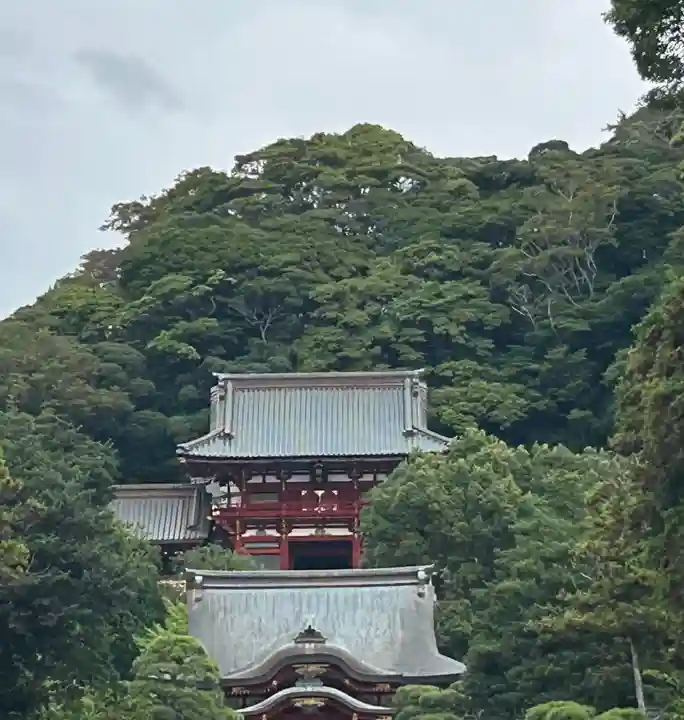 鶴岡八幡宮の本殿・本堂