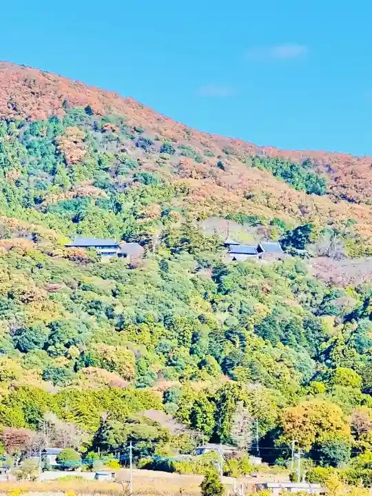 楽法寺(雨引観音)の{uncategorized: "未分類", other: "その他", undefined: "問題あり", building: "その他建物", grave: "お墓", sacred_gate: "鳥居", guardian: "狛犬", statue: "像", buddha: "仏像", history: "歴史", nature: "自然", garden: "庭園", animal: "動物", pagoda: "塔", temizu: "手水舎", mountain_gate: "山門・神門", sanctuary: "本殿・本堂", subordinate: "末社・摂社", art: "芸術", scenery: "景色", jizo: "地蔵", ema: "絵馬", goshuin: "御朱印", omikuji: "おみくじ", items: "授与品その他", amulet: "お守り", goshuincho: "御朱印帳", eats: "食事", festival: "お祭り", votive_dance: "神楽", shichigosan: "七五三参", wedding: "結婚式", experience: "体験その他", initially: "初詣", around: "周辺", anti_infection: "感染症対策"}