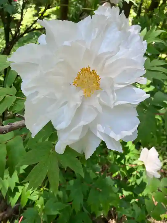 遠照寺(長野県)