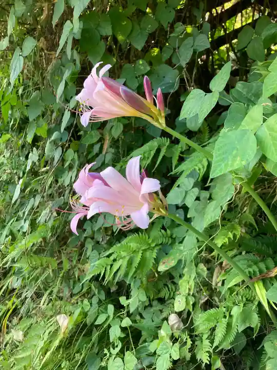 西明寺(長野県)