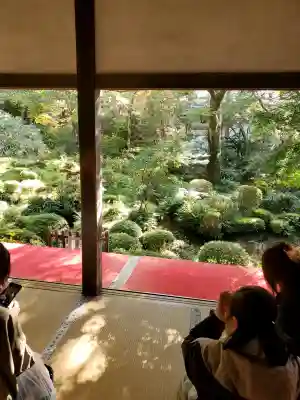 三千院門跡の{uncategorized: "未分類", other: "その他", undefined: "問題あり", building: "その他建物", grave: "お墓", sacred_gate: "鳥居", guardian: "狛犬", statue: "像", buddha: "仏像", history: "歴史", nature: "自然", garden: "庭園", animal: "動物", pagoda: "塔", temizu: "手水舎", mountain_gate: "山門・神門", sanctuary: "本殿・本堂", subordinate: "末社・摂社", art: "芸術", scenery: "景色", jizo: "地蔵", ema: "絵馬", goshuin: "御朱印", omikuji: "おみくじ", items: "授与品その他", amulet: "お守り", goshuincho: "御朱印帳", eats: "食事", festival: "お祭り", votive_dance: "神楽", shichigosan: "七五三参", wedding: "結婚式", experience: "体験その他", initially: "初詣", around: "周辺", anti_infection: "感染症対策"}