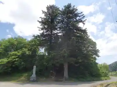長岡神社・八幡神社・天御布須麻神社の自然