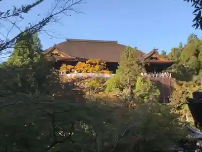 清水寺の本殿・本堂