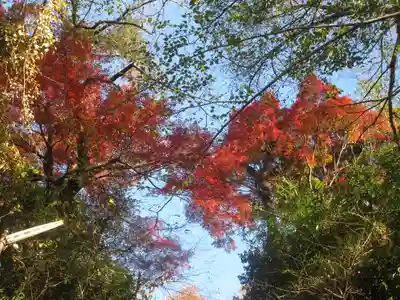 雷神社の自然