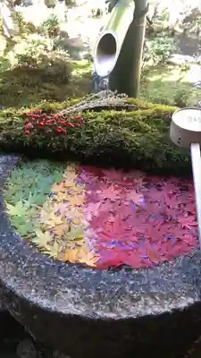 柳谷観音 楊谷寺の手水舎