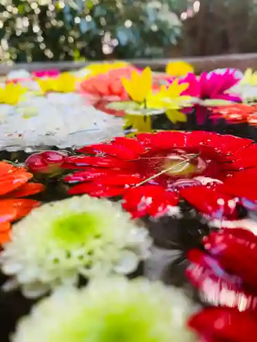 前玉神社(埼玉県)