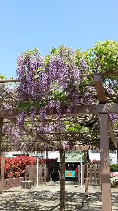 守鐵社の本殿・本堂