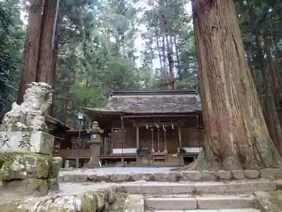 室生龍穴神社の狛犬