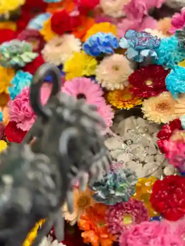 札幌諏訪神社の手水舎