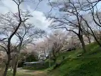 八幡神社の自然