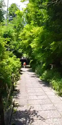 早尾神社(滋賀県)