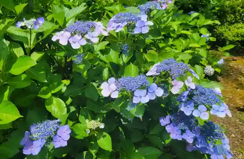 惣河内神社(愛媛県)