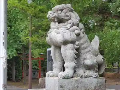 富良野神社の狛犬