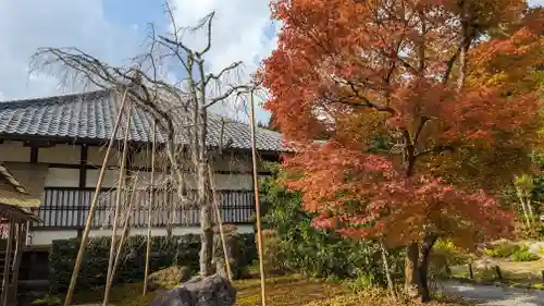 常照寺の建物その他