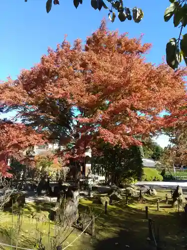 長泉院のその他建物