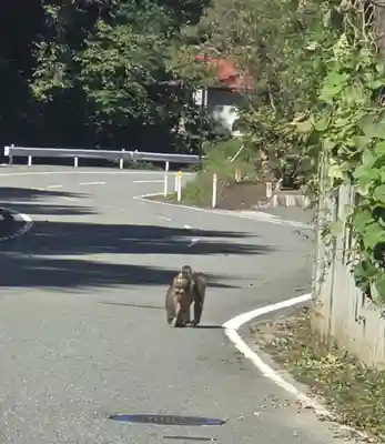 若松寺(山形県)