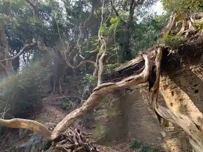 平潟八幡神社(茨城県)