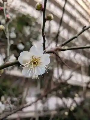 銀世界稲荷神社(東京都)