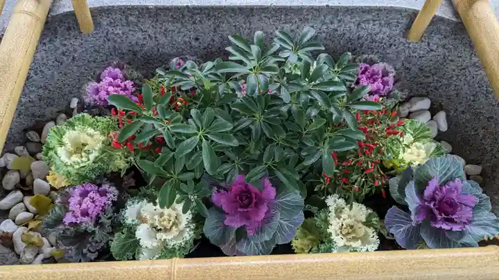 中嶋神社の手水舎