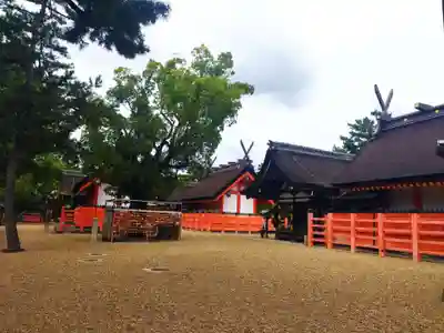 住吉大社(大阪府)