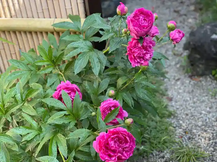 梅香寺(三重県)