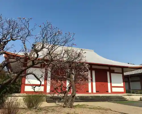 薬師寺の本殿・本堂