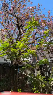 宝蔵寺(京都府)